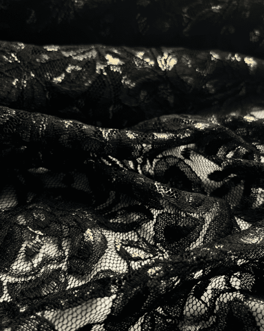 Dentelle Festy  - par 10 cm 